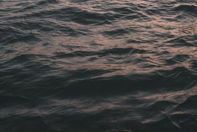 luoghi infestati venezia https://unsplash.com/it/foto/zl6qqvSgM40