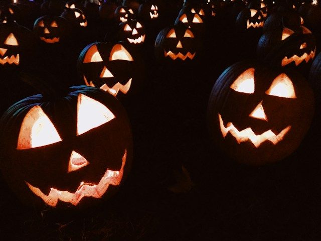 Eventi Halloween Venezia 2026