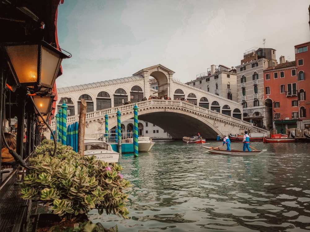 La ricetta delle seppie alla veneziana: tutto il gusto della tradizione lagunare